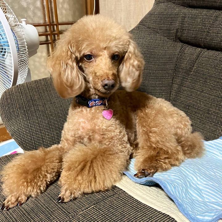 B0a05f0d b423 4849 820f f98842508b7c 1667695268299