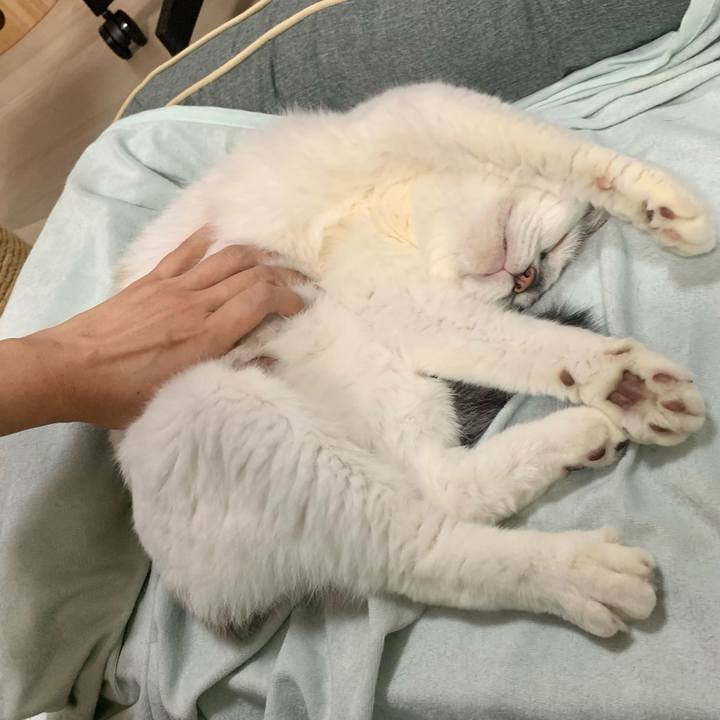 B0a06f4e 77fb 4d66 9258 d11368b9f763 1632104646887