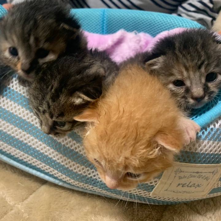 B0a07bd6 06c4 4e8d 9834 1a1544a39cd0 1587113006222