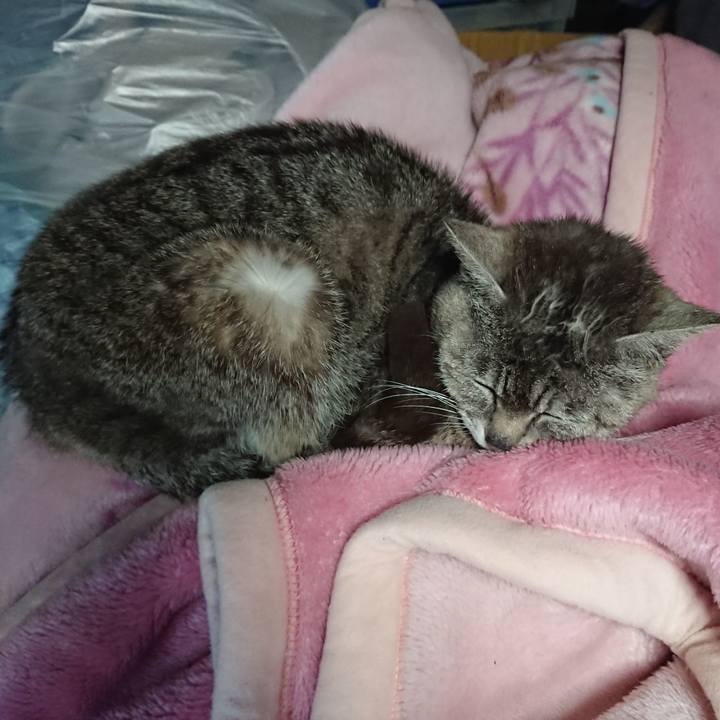 B0a09d82 dafe 4fd1 acd7 fc4faf85e712 1560458498090