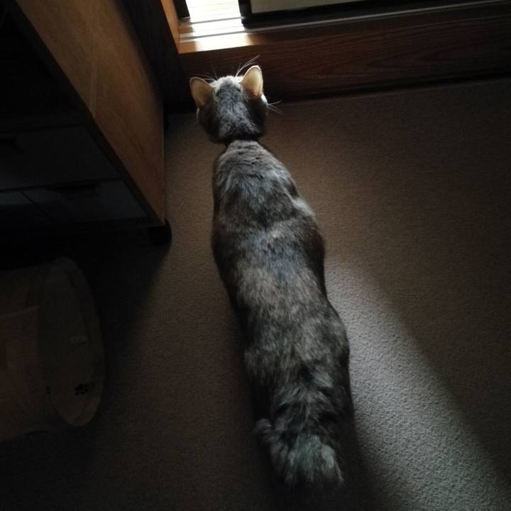 B0a0d78a f58f 492d 97f9 f0954f8bedaf 1548577409729