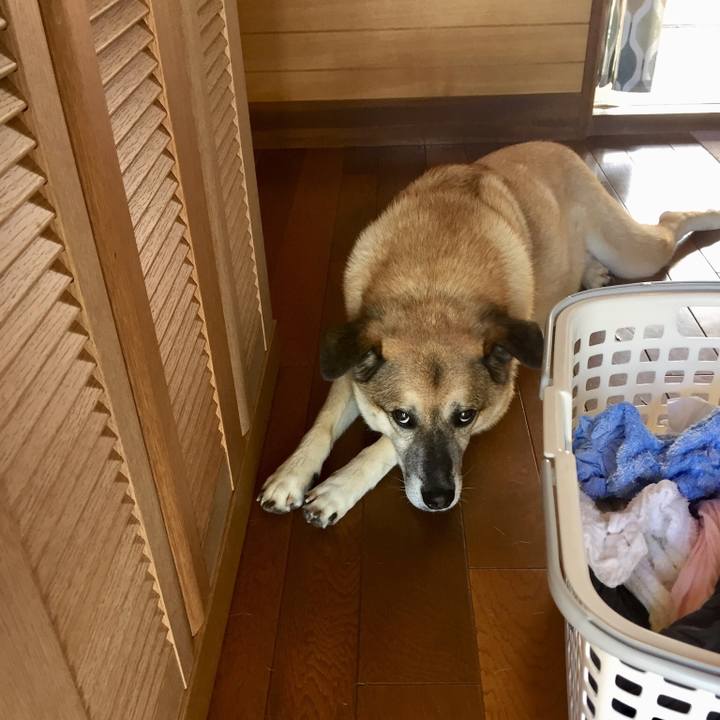 B0a0e2f2 6c46 4d0f b8a0 6520cec89332 1530528432201