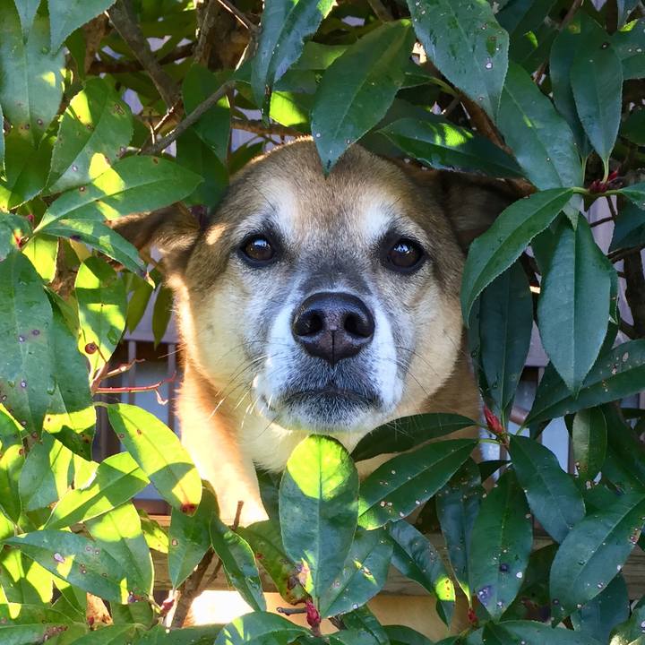 B0a0fdc6 1c3b 49f8 be0d afb03d9a72b2 1576195371915