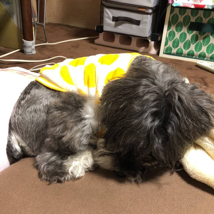 B0a114e2 5e90 4912 a062 42183604e75d 1513435604952