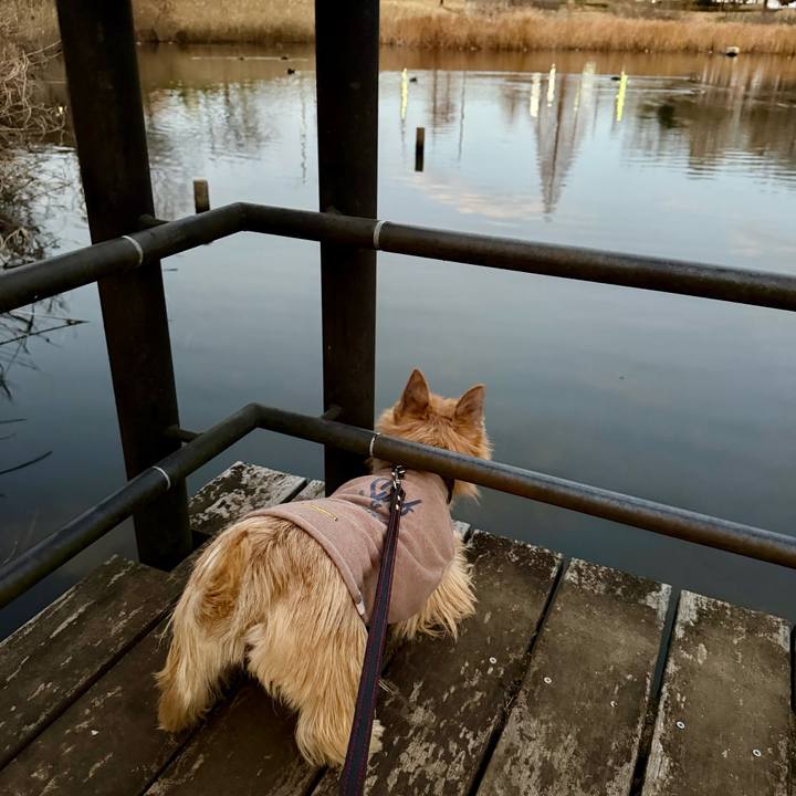 B0a11ee8 5440 4cfe 94cf 1c331bcdbf93 1766864086861