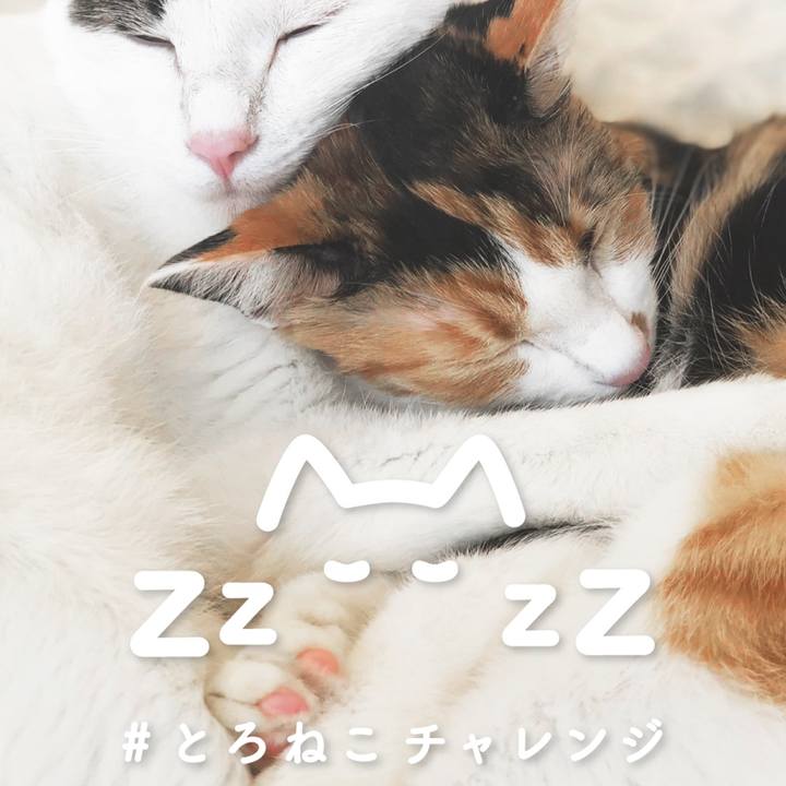 B0a14397 b8ed 4811 9904 ebd094195c76 1587987237504