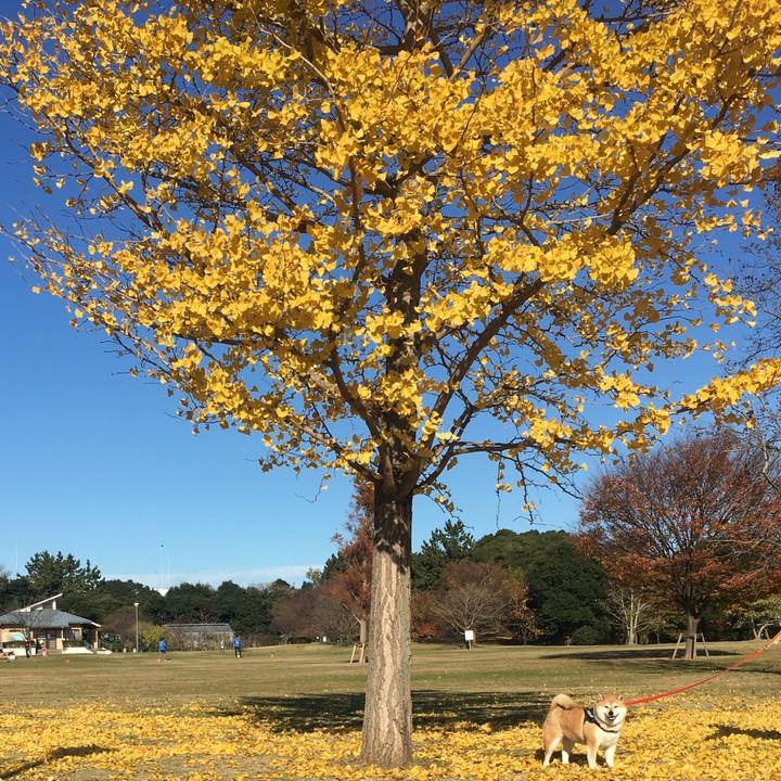 B0a1603d 9b2a 4473 a3b0 303b6530610f 1607910436873