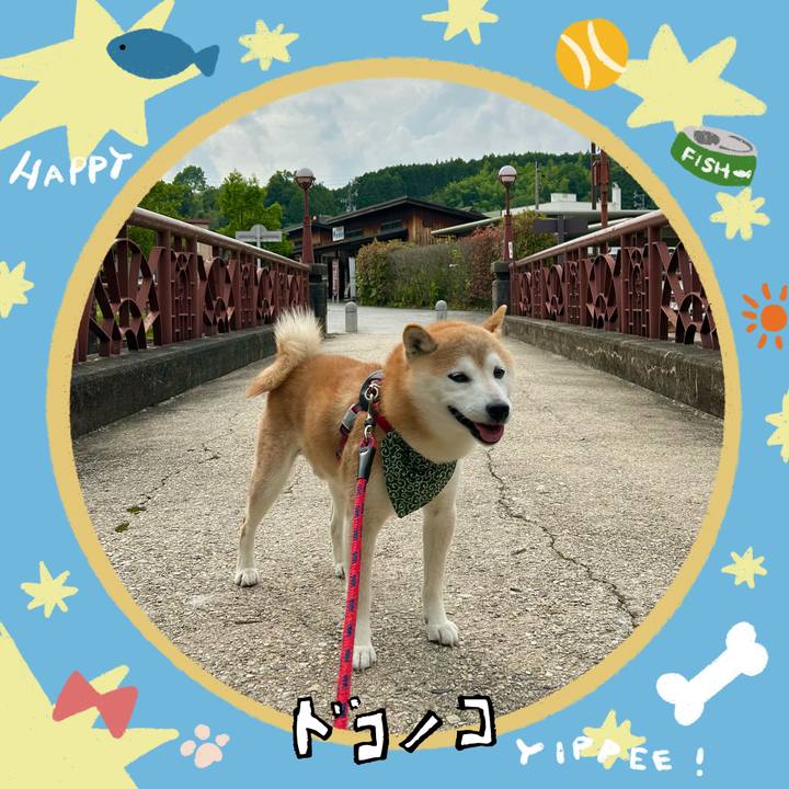 B0a18cf8 90d6 42e8 a07b b6fc9b2ce918 1720784475396