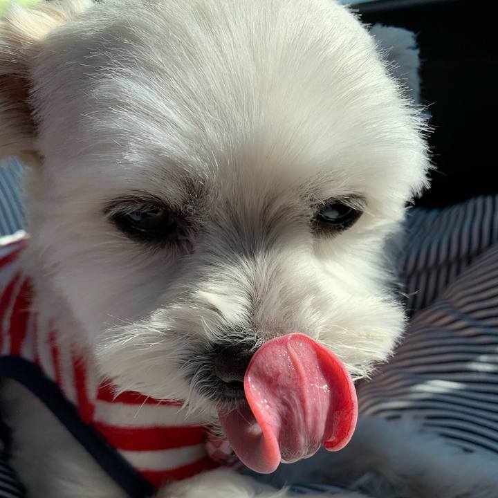 B0a190b4 7c99 4def b587 d2b572557a95 1641783039673