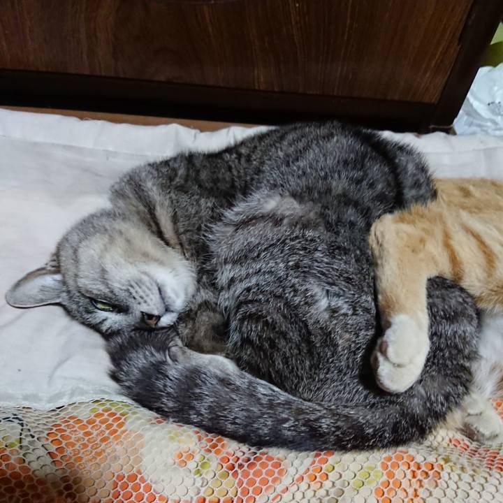 B0a19f7e ea63 401f 8539 5e28280f8c76 1591537504144