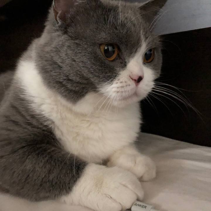 B0a1b218 5fee 4797 806b 722b40cc7fcf 1526962232118