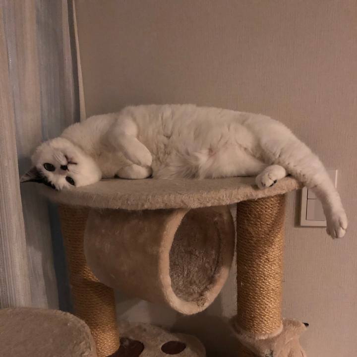 B0a1e34c abc4 4040 8e7c a6125d535b97 1545235499903