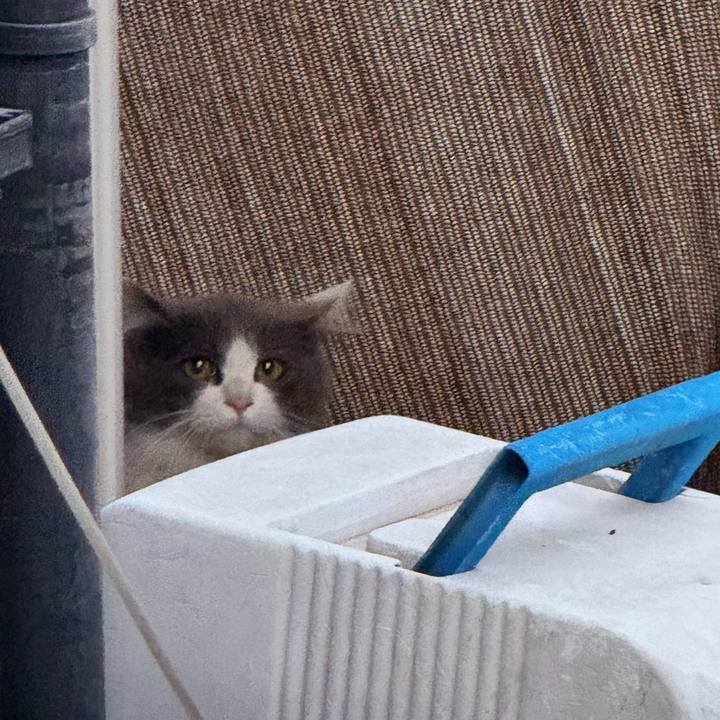 B0a20950 cb4e 4bd9 be7f 1af48755f9a3 1734249534748