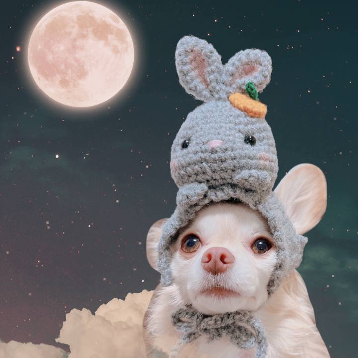 B0a21f00 8c22 4002 a566 9d52bc376a31 1670997669081