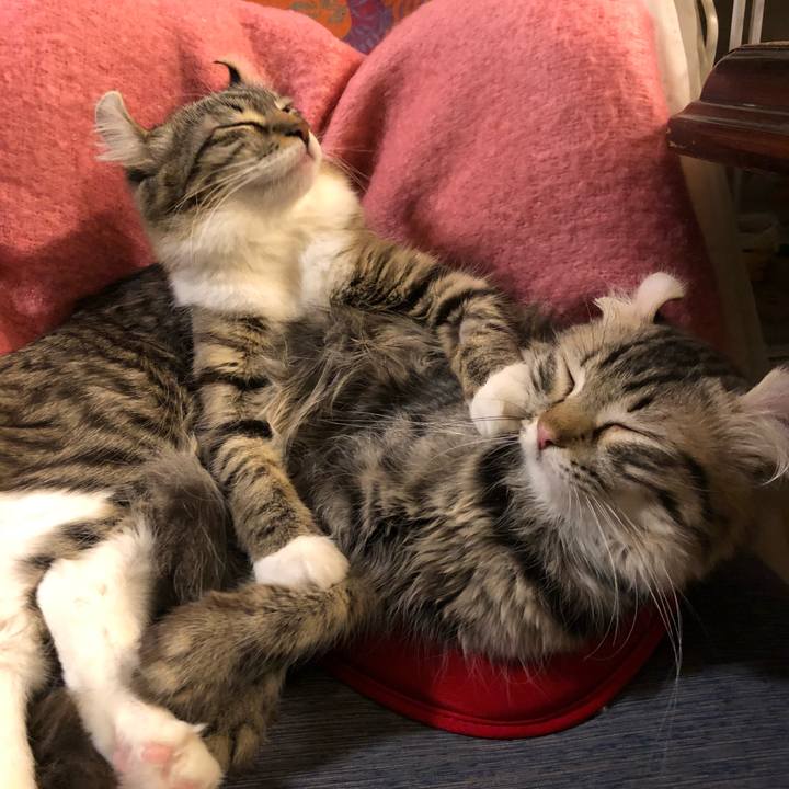 B0a22040 bcc6 4703 9e68 ef35689d8e64 1512904828560