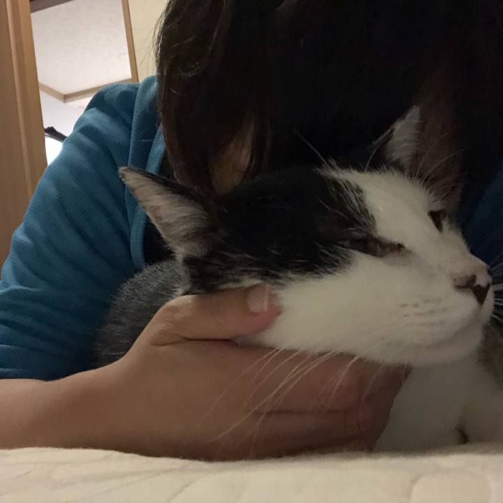 B0a22ad9 f877 4901 80c8 b2fd5c271540 1571484798942