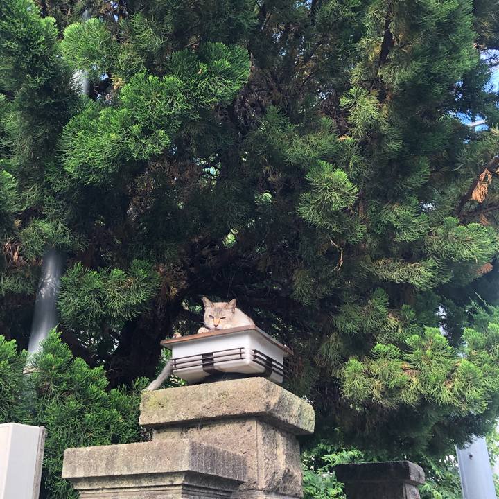 B0a2365d 501e 49e3 97cf e88aaec41967 1656522842179