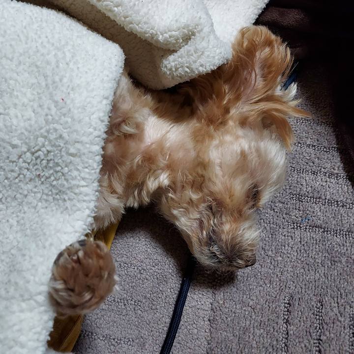 B0a246dd c76a 4bd3 a21a 9f8fd14c060d 1707139045975