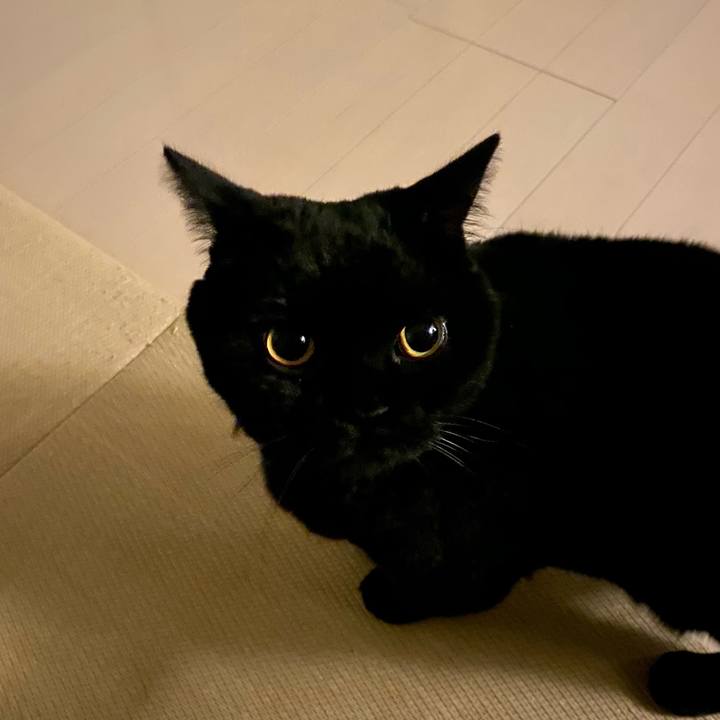 B0a26505 5aaf 4ed0 a90d fdddbcd29584 1667912864130