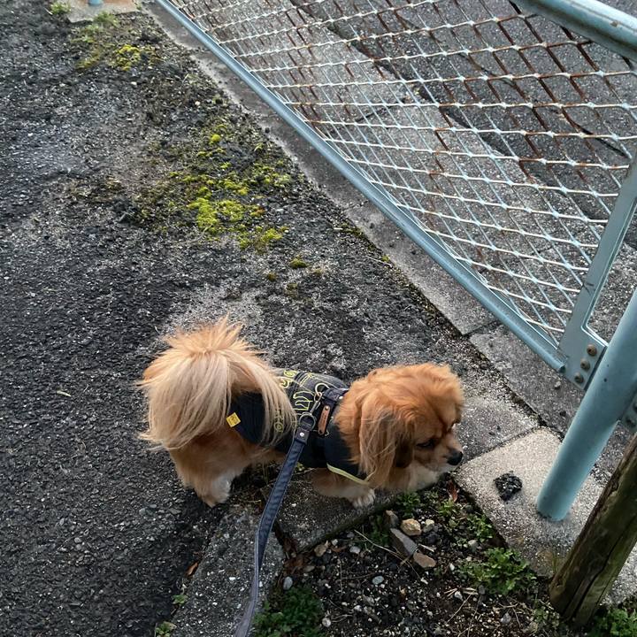 B0a28889 32c2 4e48 b8c8 c5674734786c 1580423275280