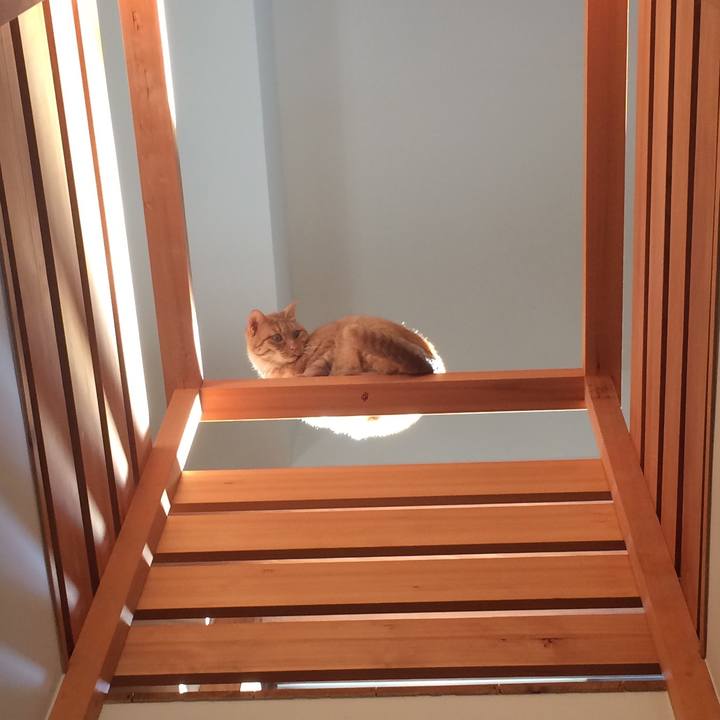 B0a2b8c4 b741 4bb7 b7f9 8ac6c0b98d5b 1517231687750