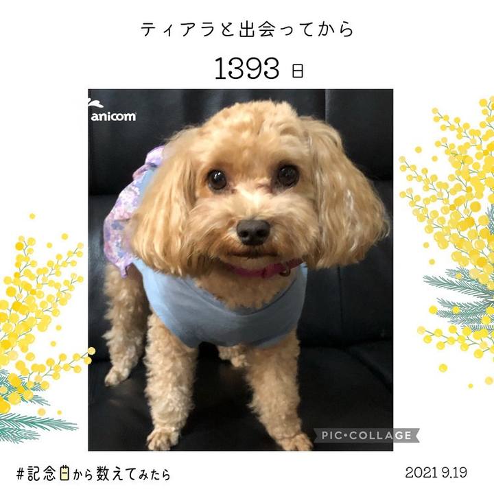 B0a2ec99 055c 4a43 abc8 9cf47af31589 1632018914509