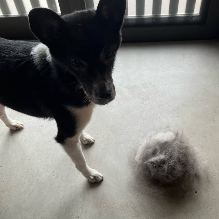 B0a2f00a d001 43cb 9362 b8d7d8c33e97 1716457330439