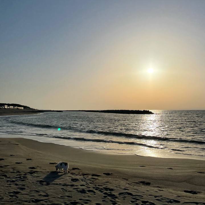 B0a2fc95 bc44 4ca3 8813 53f52fefa5e1 1616487942610