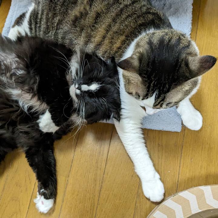 B0a30ee0 a187 47e2 9870 453d82064878 1702874725292