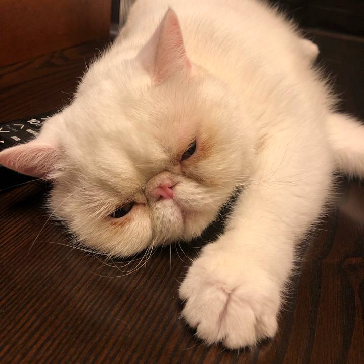 B0a32434 6e25 4515 b06a b12f9a84061b 1629546891120