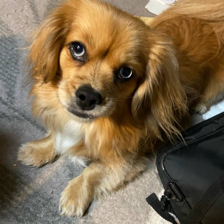 B0a32c1b 7def 42af b83d a09ac81481b7 1579731248812