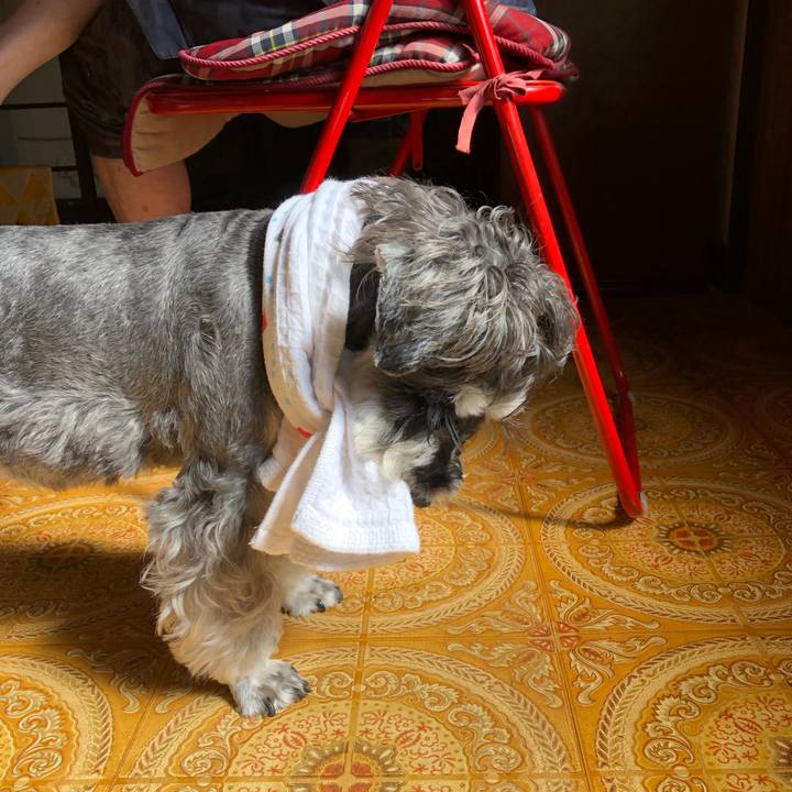 B0a37789 d621 4cb7 85ba b31d4e6f7ac8 1633578576887