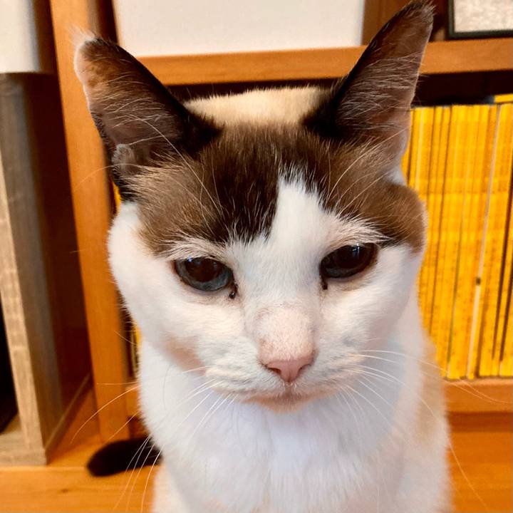 B0a38228 dbd1 4b1f ac60 9b120a799869 1674038975615