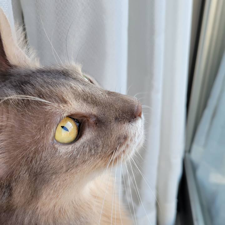 B0a3d5da 7578 4d8c 81e0 6a05971cd144 1664491186734