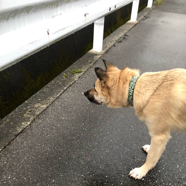 B0a3d951 e83a 4abf b9eb c83983e3e7aa 1549026711799