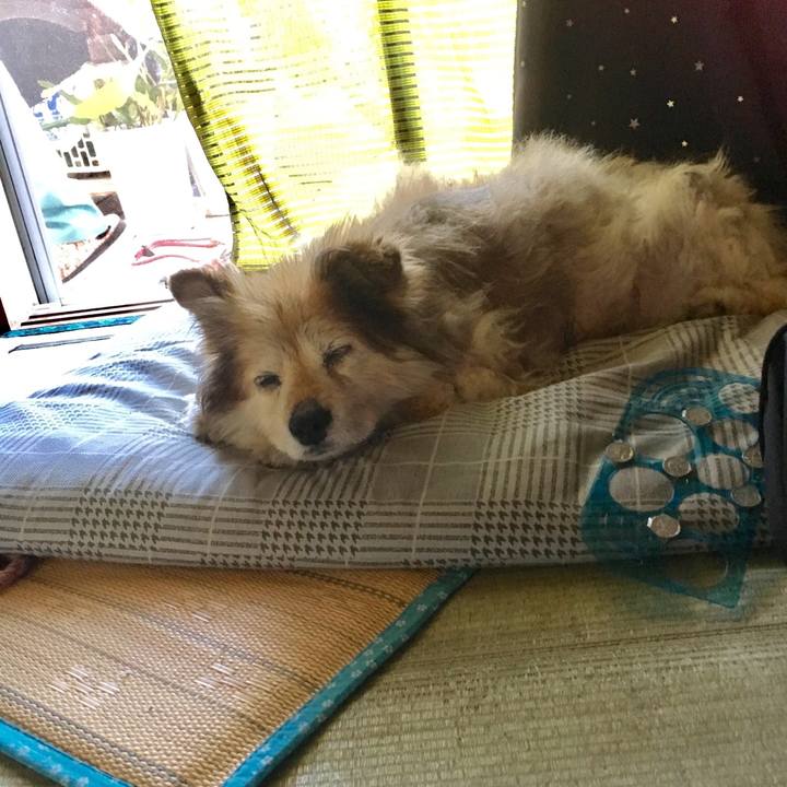 B0a3da19 a07e 41eb 9ebc 6279787cd0a0 1613532928911