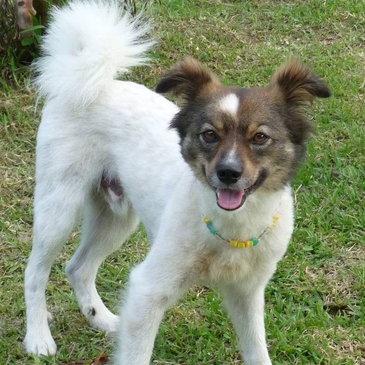 B0a40c74 ae09 4987 aed4 adb1793d2a6d 1665225091721