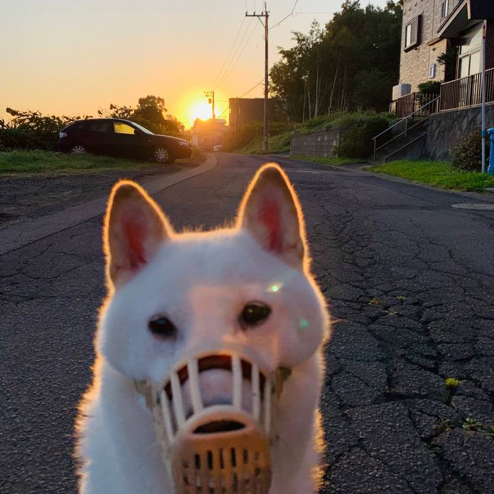 B0a429ff b401 456d 9cb6 ac9572135de9 1569532721625