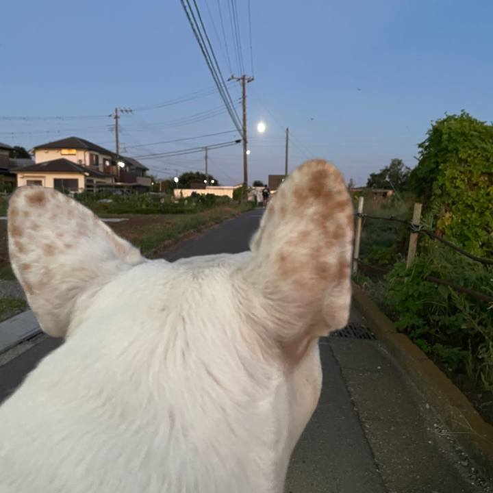 B0a42a32 f898 4357 b63e 8d6dad6d63d5 1726566179914