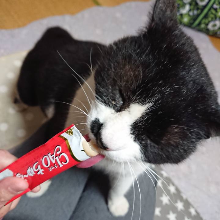 B0a454b4 65a8 42a7 a5e8 697986ff38b3 1556621062678