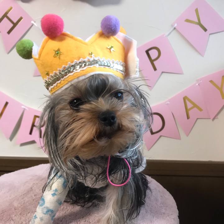 B0a464e1 d70e 45d6 b710 39c758415073 1637574955542