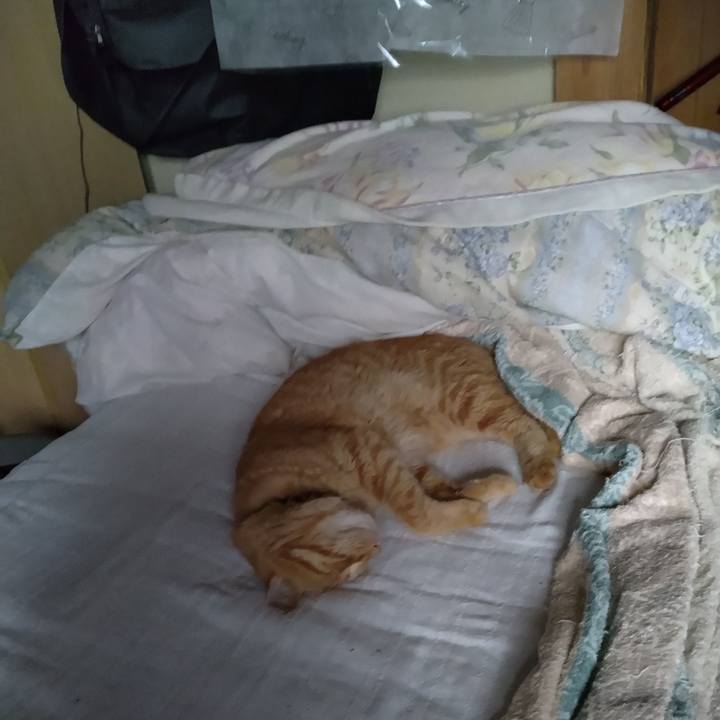 B0a47a6a 2ce5 4e04 8ecb ea8ea98aa849 1692484667388