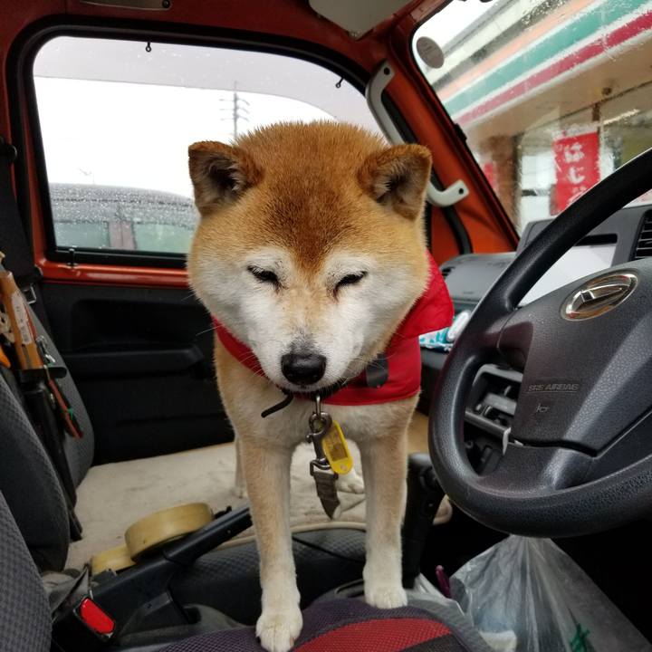 B0a4838f 13bf 4303 a4a0 1fbfed42840c 1619674113006