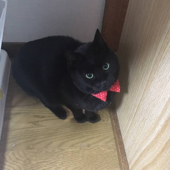 B0a4a1af 1d3b 4414 ba47 03bda09aa197 1549101925903