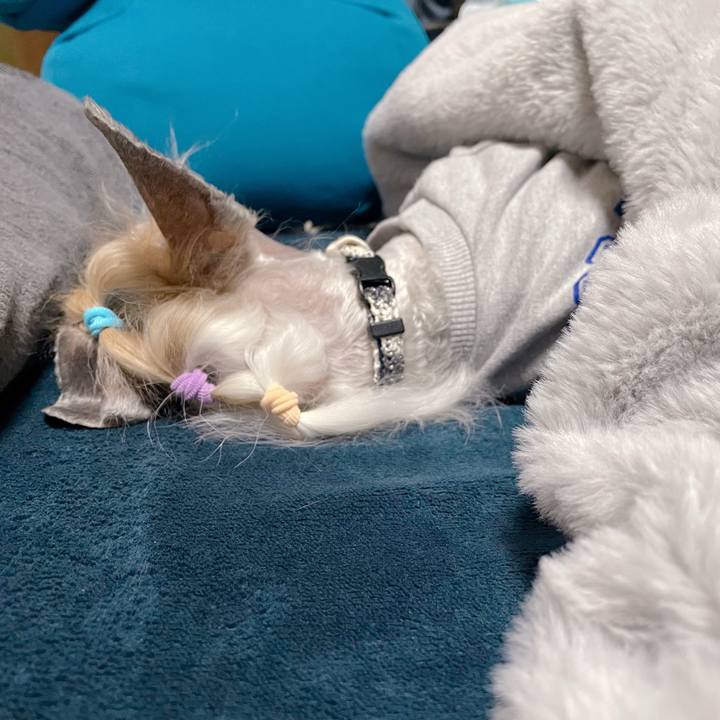 B0a4a585 d657 473f 82ef 558cc8f1479b 1764389963799