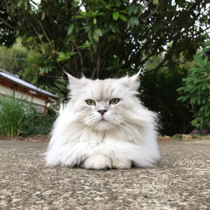 B0a4b339 a3d0 4924 b70f 23ab11bb6f09 1559378985719