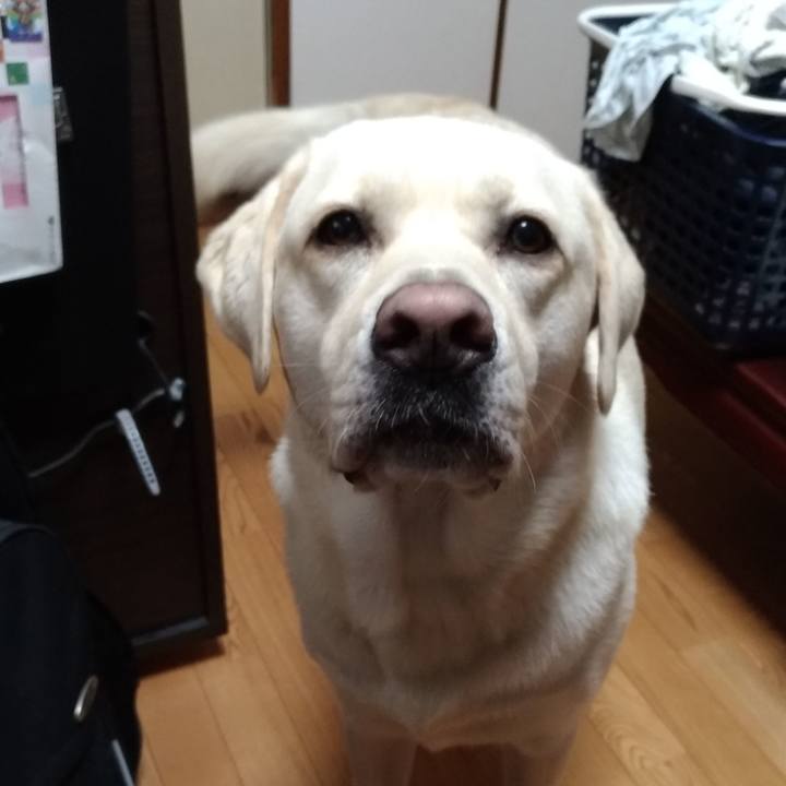 B0a4bb4c 6f56 49f3 bfd0 3071936aac0e 1536982425064