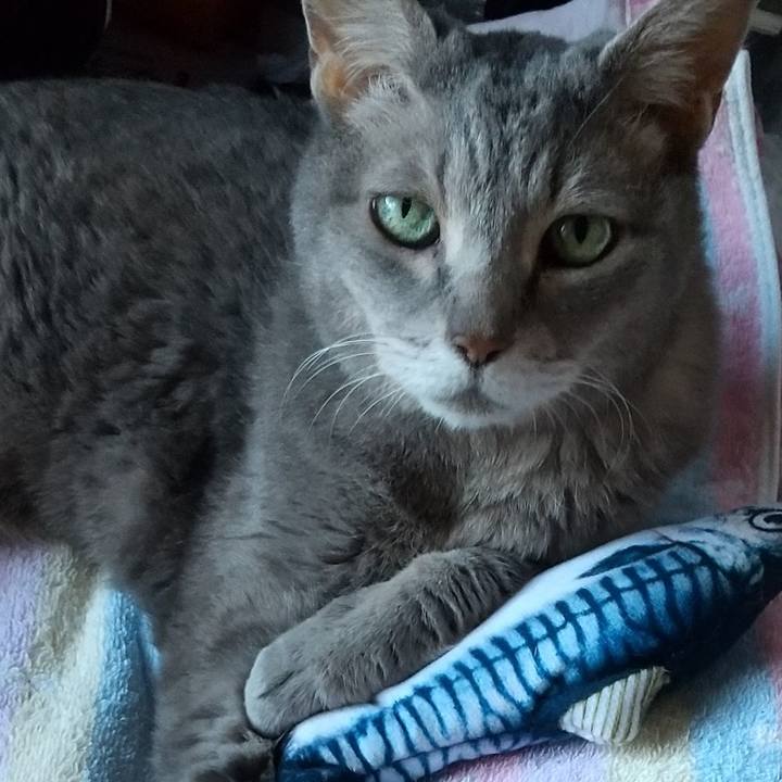 B0a4c2a6 b59f 4568 8cdb 4e781ecea7cd 1690611647538