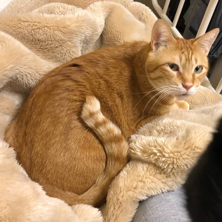 B0a4dc0b ff8b 4239 aaae 4f701f952b08 1574416018848