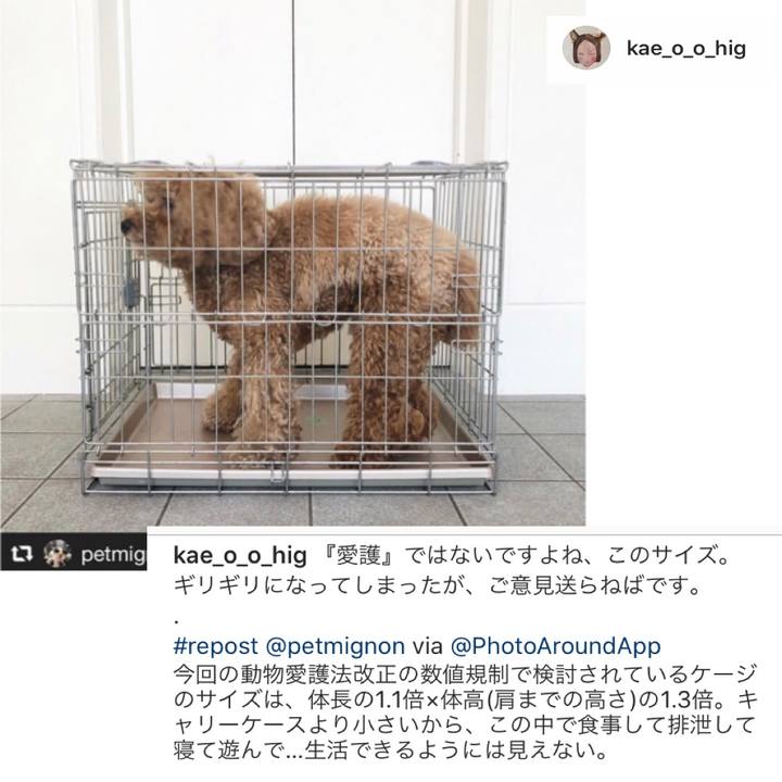 B0a4f7a7 3ebc 4177 b990 2c0394130243 1594007321583